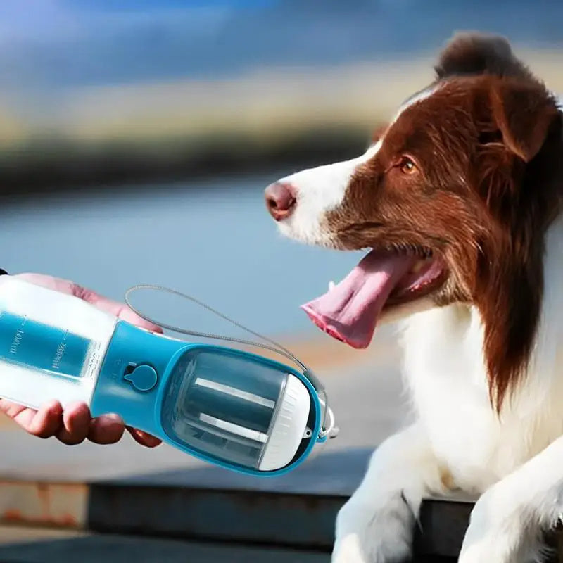 PawPack 3-in-1 Travel Cup